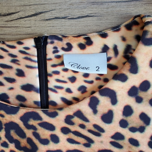 Clove Long Sleeve Mini Dress - Picture 3 of 5